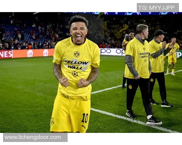 双标足球球星的争议行为与公众形象塑造：透视明星背后的不公平对待