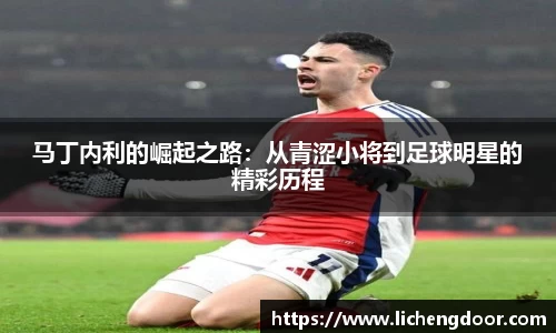 马丁内利的崛起之路：从青涩小将到足球明星的精彩历程